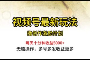 （10591期）视频号最新玩法，每日一小时月入5000+-麦资源网
