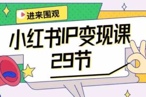 小红书IP变现课：开店/定位/IP变现/直播带货/爆款打造/涨价秘诀/等等/29节-麦资源网