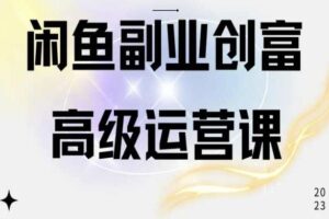 闲鱼电商运营高级课程，一部手机学会闲鱼开店赚钱-麦资源网
