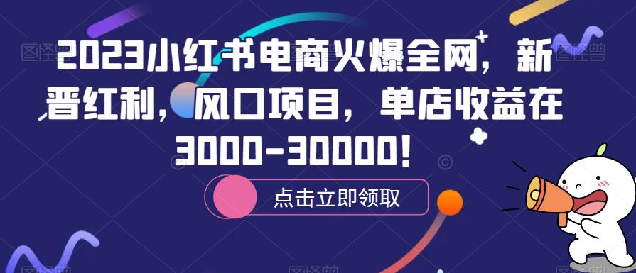 2023小红书电商火爆*，新晋红利，风口项目，单店收益在3000-30000！
