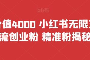 （6982期）首发价值4000 小红书无限艾特暴力引流创业粉 精准粉揭秘教程-麦资源网