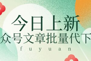 信息差兼职小项目，公众号文章批量下载，零成本月收益3000+【视频+软件】-麦资源网