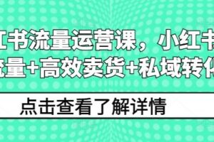 小红书流量运营课，小红书搞流量+高效卖货+私域转化-麦资源网