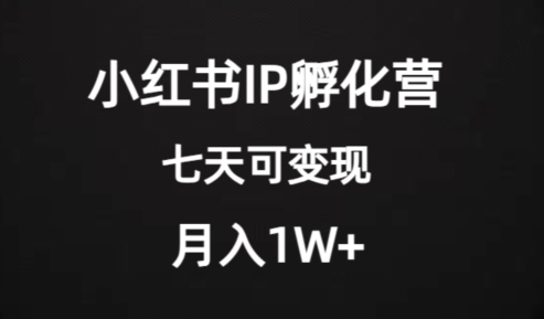 价值2000+的小红书IP孵化营项目，*大蓝海，七天即可开始变现，稳定月入1W+