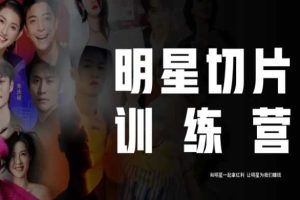 王子·明星切片线上训练营（2023），和明星一起拿红利，让明星为我们赚钱-麦资源网