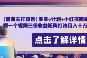 【蓝海主打项目】多多v计划+小红书商单，AI剪辑一个视频三份收益矩阵打法月入十万【揭秘】-麦资源网