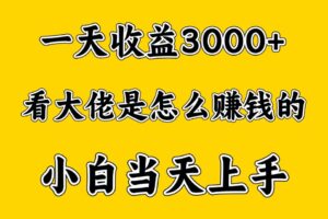 一天赚3000多，大佬是这样赚到钱的，小白当天上手，穷人翻身项目-麦资源网