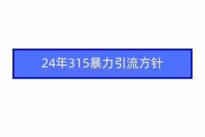 （9398期）2024年315暴力引流方针-麦资源网