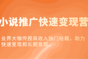 小说推广快速变现营-业界大咖传授高收入独门秘籍，助力快速变现和长期变现。-麦资源网