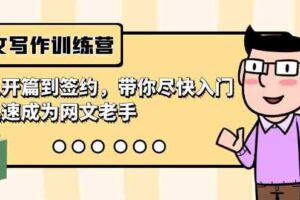 网文写作训练营，从开篇到签约，带你尽快入门，迅速成为网文老手（22节课）-麦资源网