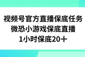 视频号直播任务，微恐小游戏，1小时20+【揭秘】-麦资源网
