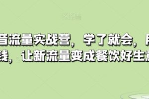 餐饮抖音流量实战营，学了就会，用了就赚钱，让新流量变成餐饮好生意-麦资源网