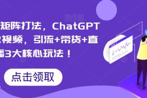 视频号矩阵打法，ChatGPT批量做视频，引流+带货+直播3大核心玩法！-麦资源网