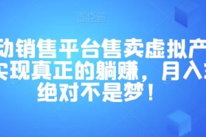 全自动销售平台售卖虚拟产品，助你实现真正的躺赚，月入3万＋绝对不是梦！【揭秘】-麦资源网