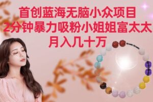 首创蓝海无脑小众项目，2分钟暴力吸粉小姐姐富太太，月入几十万【揭秘】-麦资源网