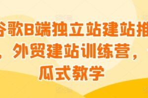 谷歌B端独立站建站推广，外贸建站训练营，傻瓜式教学-麦资源网