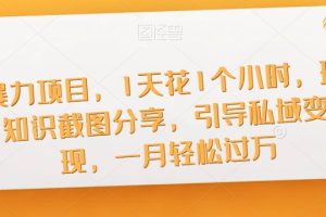 暴力项目，1天花1个小时，玩知识截图分享，引导私域变现，一月轻松过万【截图】-麦资源网