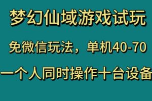 梦幻仙域游戏试玩，免微信玩法，单机40-70，一个人同时操作十台设备【揭秘】-麦资源网