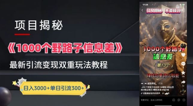 一千个野路子信息差*玩法教程-变现+引流的玩法具体拆解【揭秘】