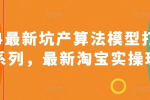2024最新坑产算法模型打款玩法系列，最新淘宝实操玩法-麦资源网