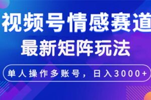 （12609期）视频号创作者分成情感赛道最新矩阵玩法日入3000+-麦资源网