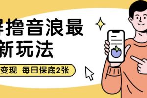 黑屏撸音浪最新玩法，双重变现，每日保底2张【揭秘】-麦资源网