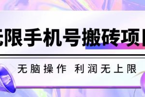 无脑搬砖项目-无限接码撸红包收益无上限【揭秘】-麦资源网