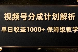 （7994期）视频号分成计划，单日收益1000+，从开通计划到发布作品保姆级教学-麦资源网