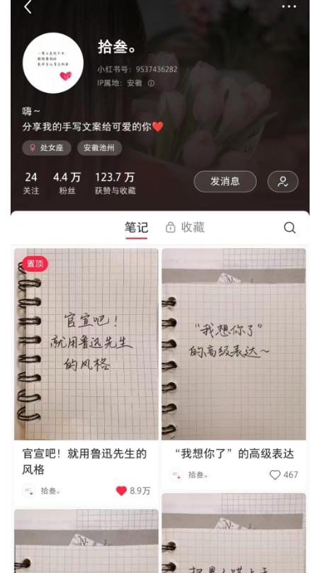 AI批量制造小红书*笔记+小红书无货源，玩法一条龙实操，小白也能轻松日入500+【揭秘】