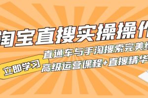 （7618期）淘宝直搜实操操作 直通车与手淘搜索完美结合（高级运营课程+直搜精华实战）-麦资源网