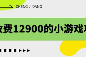（6657期）收费12900的小游戏项目，单机收益30+，独家养号方法-麦资源网