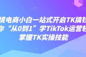 跨境电商小白一站式开启TK搞钱,教你“从0到1”学TikTok运营轻松掌握TK实操技能-麦资源网