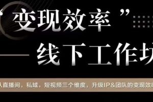 变现效率线下工作坊，从‮播直‬间、私域、‮视短‬频‮个三‬维度，升级IP和团队变现效率-麦资源网