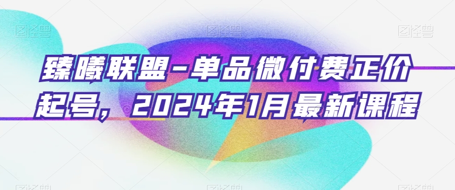 臻曦联盟-单品微付费正价起号，2024年1月*课程