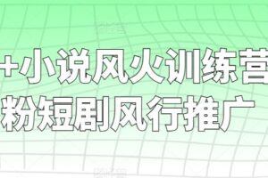 短剧+小说风火训练营，0粉短剧风行推广-麦资源网