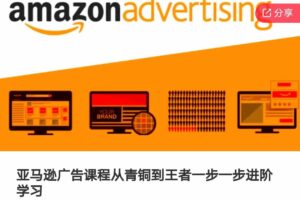 亚马逊广告课程，从青铜到王者一步一步进阶学习（更新9月）-麦资源网