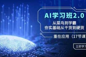 AI学习班2.0:从菜鸟到学霸,夯实基础从干货到硬货,重在应用(17节课)-麦资源网