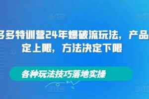 拼多多特训营24年爆破流玩法，产品决定上限，方法决定下限，各种玩法技巧落地实操-麦资源网