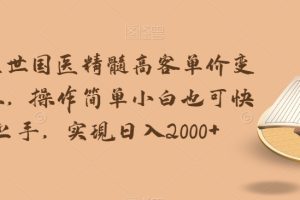 华佗在世国医精髓高客单价变现吸金，操作简单小白也可快速上手，实现日入2000+【揭秘】-麦资源网