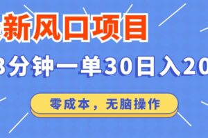 （12272期）最新风口项目操作，3分钟一单30。日入2000左右，零成本，无脑操作。-麦资源网