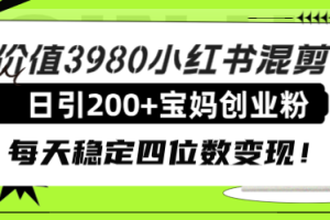 (7893期)价值3980小红书混剪日引200+宝妈创业粉,每天稳定四位数变现!-麦资源网