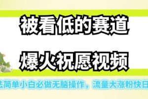 被看低的赛道爆火祝愿视频，玩法简单小白必做无脑操作，流量大涨粉快日入500-麦资源网