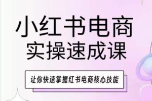 小红书电商实操速成课,让你快速掌握红书电商核心技能-麦资源网