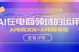AI在电商领域的运用线上课，AI电商文案+AI电商视觉（14节课）-麦资源网