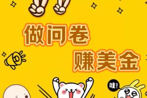 国外问卷调查小白家也可批量操作（口子查站点查渠道查）真正的长久稳定项目 日入1500+-麦资源网