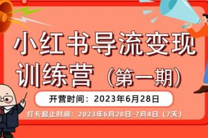 【推荐】小红书导流变现营，公域导私域，适用多数平台，一线实操实战团队总结，真正实战，全是细节！-麦资源网