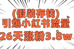 （8217期）假装存钱，引爆小红书流量， 26天涨粉3.8w，作品制作简单，多种变现方式-麦资源网
