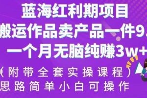 蓝海红利期项目，搬运作品卖产品一件9.9，一个月无脑纯赚3w+！（附带全套实操课程）【揭秘】-麦资源网