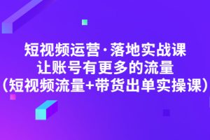 （4961期）短视频运营·落地实战课 让账号有更多的流量（短视频流量+带货出单实操）-麦资源网