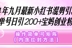 （12530期）小红书混剪引流，单号日引200+宝妈创业粉，操作简单可矩阵（内含扛封…-麦资源网